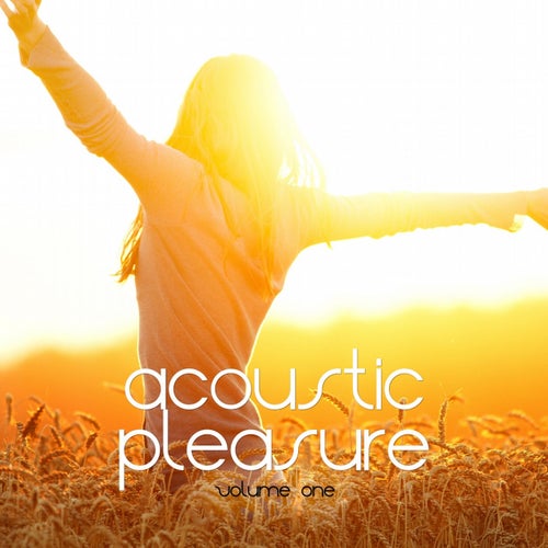 Acoustic Pleasure, Vol. 1