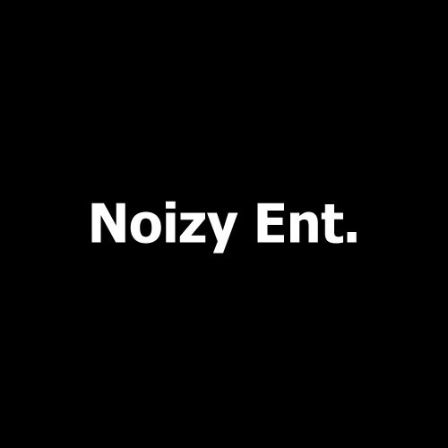 Noizy Ent.