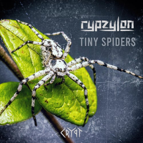 Cover art for Tiny Spiders