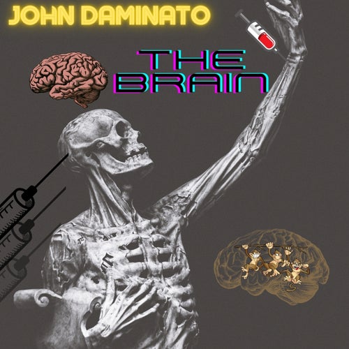 The Brain