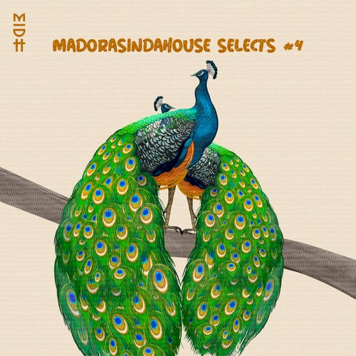 Cover art for Madorasindahouse Selects #4