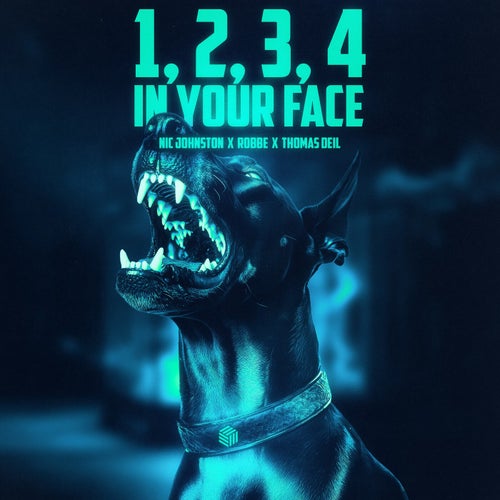 1, 2, 3, 4 (In Your Face) [Extended Mix]
