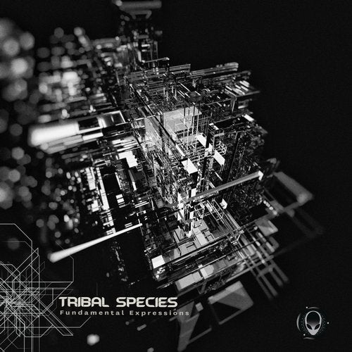 Cover art for Fundamental Expressions