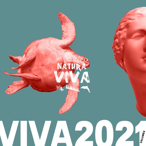 Viva 2021.2