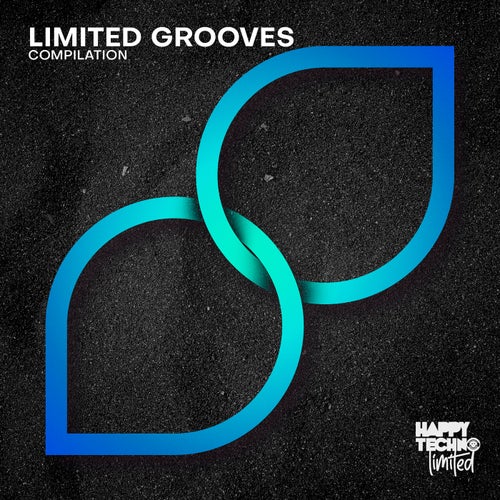 Limited Grooves (2024)