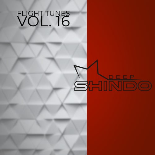 Flight Tunes Vol.16