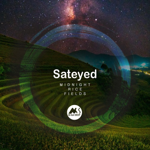  Sateyed - Midnight Rice Fields (2024) 
