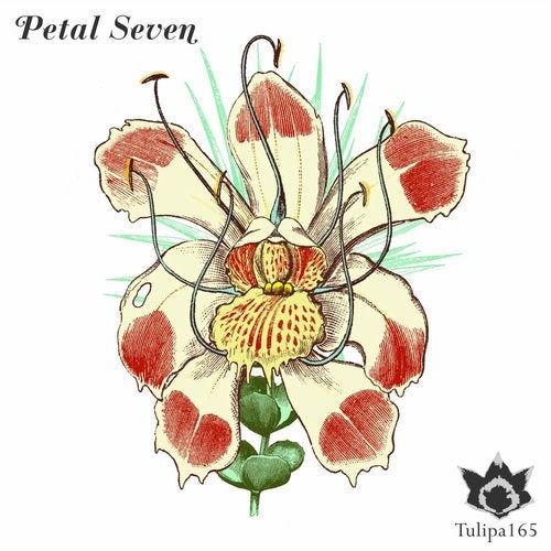 Cover art for Petal Seven
