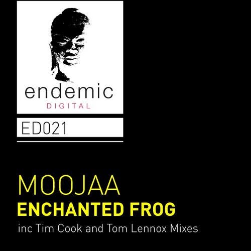 Enchanted Frog