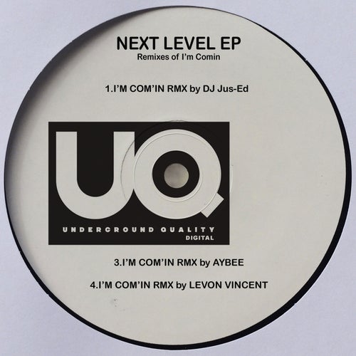 Next Level (Remixes)