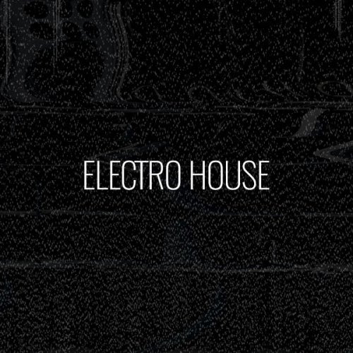 Biggest Basslines: Electro House