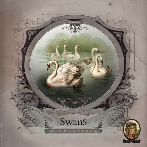 Swans