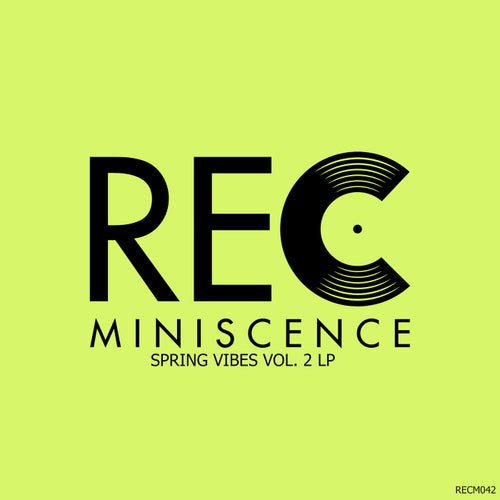 Spring Vibes, Vol. 2 LP