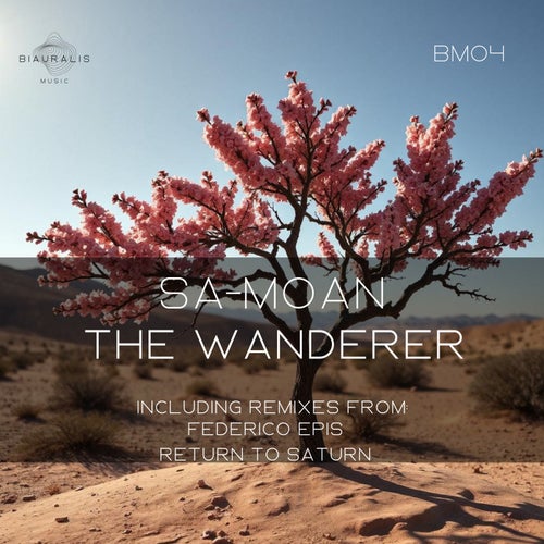 The Wanderer