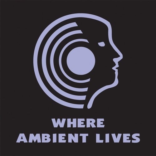 Where Ambient Lives