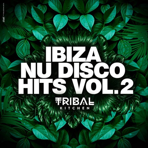 Ibiza Nu Disco Hits Vol. 2 (Tribal Kitchen) (2025) - Nu Disco / Disco