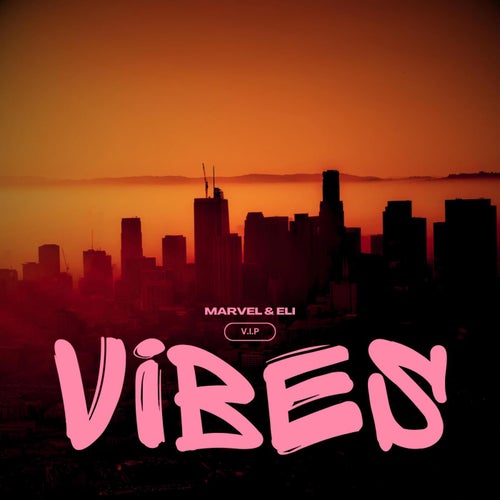 Cover art for Vibes (V.I.P Remix)