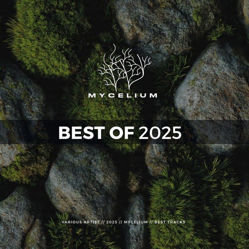Best of 2025