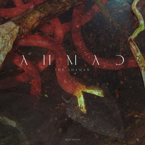Cover art for The Shaman