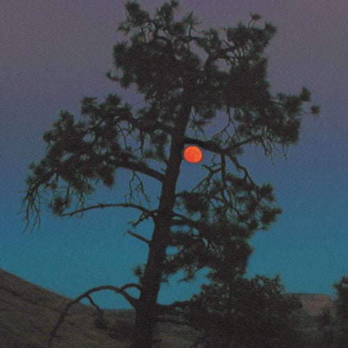 Aurora Eclipse