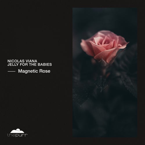 Jelly For The Babies, Nicolas Viana & Yopa  - Tearfall; Magnetic Rose (Original Mix's) [2024]