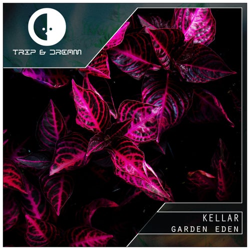 Cover art for Garden Eden
