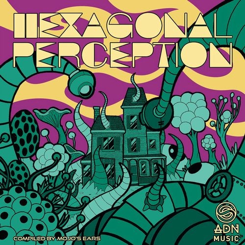 Cover art for Hexagonal Perception
