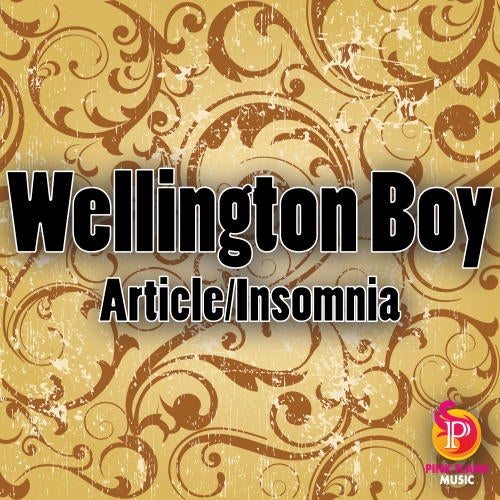 Article / Insomnia