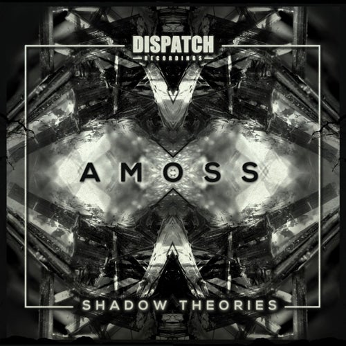 Shadow Theories