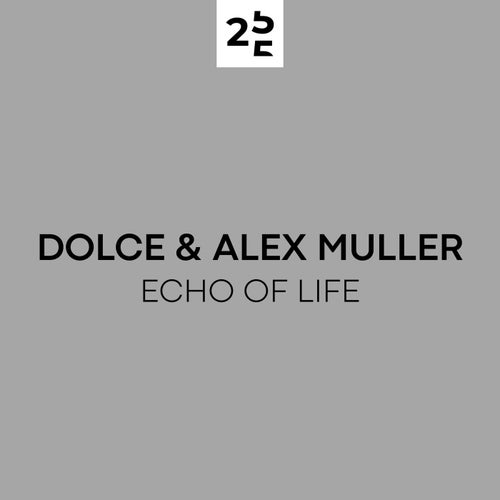 Echo Of Life