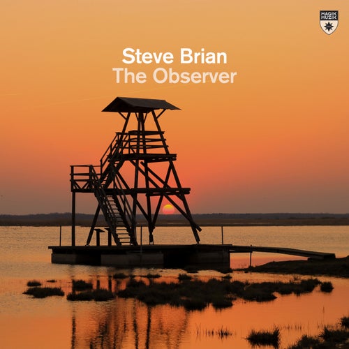 Steve Brian — The Observer (2024)
