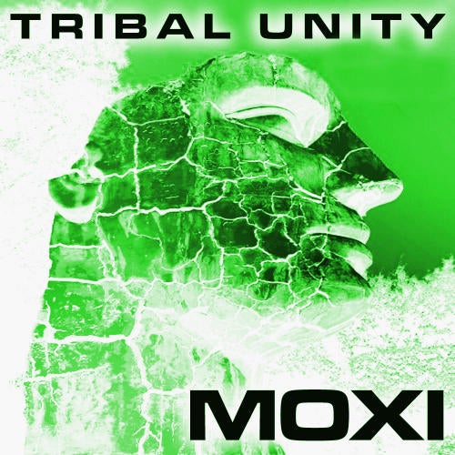 Tribal Unity Vol. 17