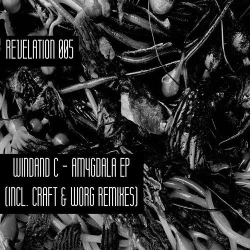 Cover art for Amygdala EP