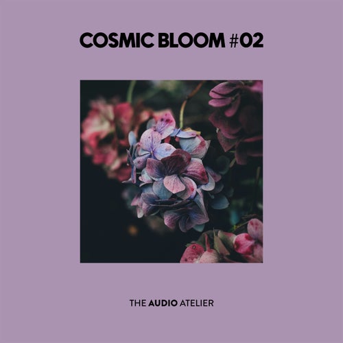 Cosmic Bloom 02 (2025) - Electronica,Deep House,Melodic House & Techno,House,Progressive House,Trance (Main Floor),Techno (Peak Time / Driving),Dance / Pop,Drum & Bass,Dubstep