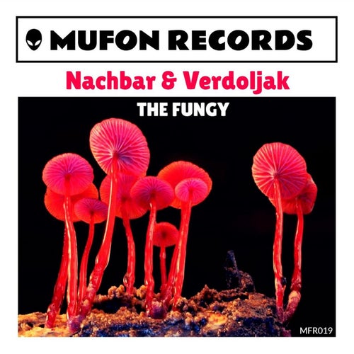The Fungy