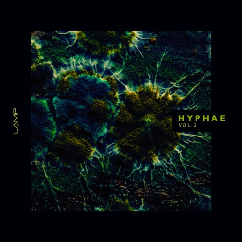 Hyphae, Vol. 2
