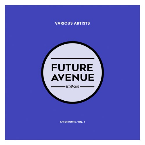 VA – Afterhours, Vol. 7 (2025)