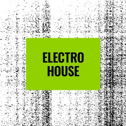 Floor Fillers: Electro House