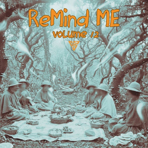 Remind Me, Vol.12