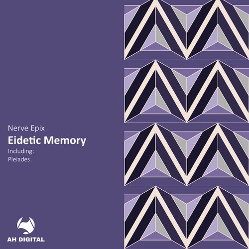 Eidetic Memory