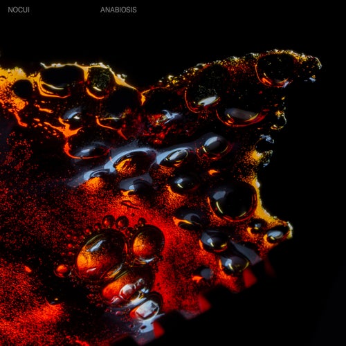 Cover art for Anabiosis