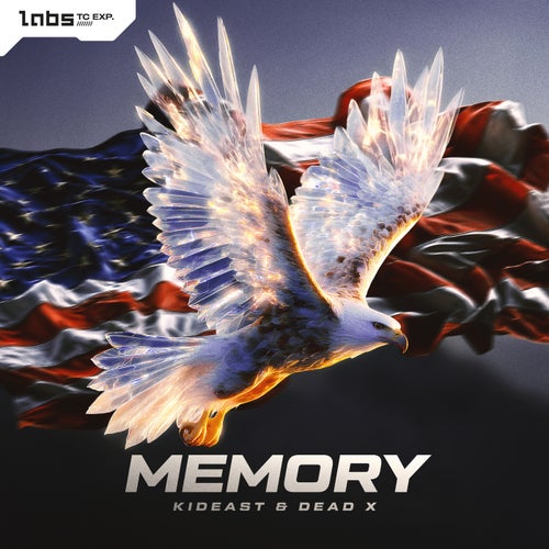 Memory - Pro Mix