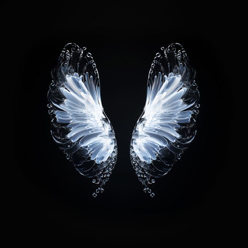 Believe