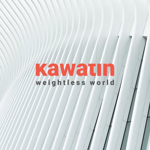 Cover art for Weightless World