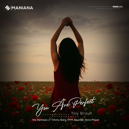 You Are Perfect // the Remixes