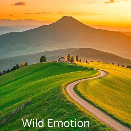 Wild Emotion