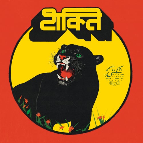 Shakti