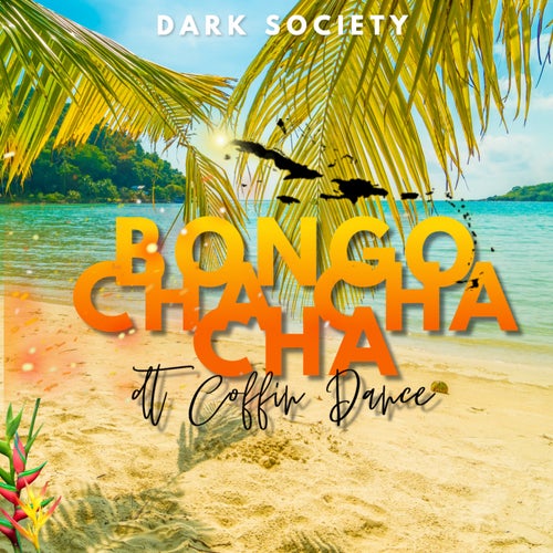 Cover art for Bongo Cha Cha Cha (Bongo ChaChaCha)