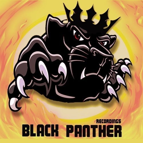 Black Panther Recordings