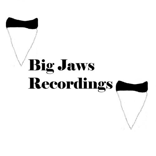 Big Jaws Recordings